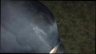 Video 1428916201: sucking bukkake, bukkake blowjob, gay bukkake, amateur bukkake, outdoor bukkake, amateur handjob blowjob, blowjob amateur belgian, sucking strangers