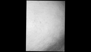 Video 1574442563: bareback twink gay sex, twink daddy bareback, amateur twink latino bareback, chubby gay twink, twink barebacked hard, twink barebacked roughly, daddy fuck boy