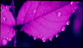 Video 1577556853: fetish feet joi, sexy feet joi, sexy feet massages, sexy feet solo, feet fetish babe, solo female joi, sexy women feet, sexy feet amateur, fetish babe throats, sexy solo orgasm, joi deep throat, thighs joi, sexy feet job, sexy tattooed feet, hand job massage