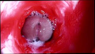 Video 1655780433: fetish solo masturbation, solo masturbation pussy toying, solo anal toy masturbation, toys solo masturbation ass, solo male masturbation moaning, hot solo cock masturbation, solo masturbation hard cock, anal big cock fetish, hard dick masturbating solo, amateur solo male masturbation, fetish blowjob anal, solo close cock, solo masturbation inside, fetish vagina, romantic solo, camera solo, hot sexy big cock, hole big cock