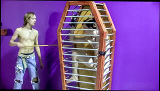 Video 1600177484: gay twink bdsm, gay twink fetish, caged twink, twink boy cum, torments boy's, boy jacking