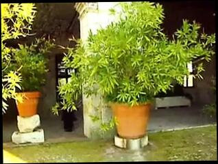 Video 37241501: vintage fuck suck, vintage tit fuck, vintage foursome, vintage oral, vintage pussy, vintage straight, vintage european, fake tits sucks