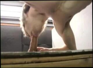 Video 86219901: glory hole gay porn, gay porn sucking, gay man sucking, naughty sucking