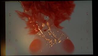 Video 284800901: furry cum, furry masturbation, cum bukkake, gay furry, amateur bukkake, furry man, bukkake hd