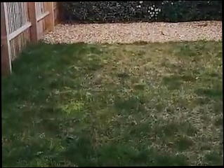 Video 1597351141: gay teen jerking, gay fuckers, hot sexy