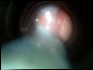 Video 95339001: gay man cumshot, pussy cumshot, silicone pussy