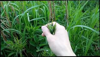 Video 1596212513: fetish solo, amateur solo sexy, cute amateur solo, sexy solo male, solo male public, solo outside, outdoor fetish, fetish natural, masturbation cute