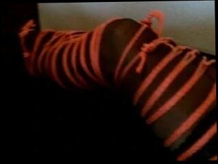 Video 49254701: gay tied, man gay