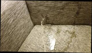 Video 804276103: pissing peeing, solo male piss, piss soaked, amateur public piss, cock pissing, hotel piss, couch piss