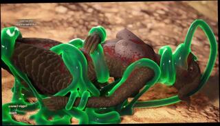 Video 1573958693: amateur anal creampie compilation, futanari porn compilation, girl creampie compilation, ass creampie compilation, fucking creampie compilation, creampie compilation hd, creampie compilation big, fetish cartoon, creampie hardcore amateur anal, futanari dick girl, 60fps compilation, sex