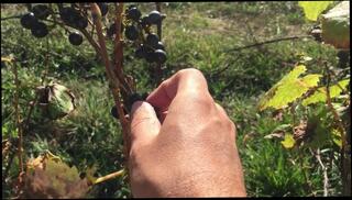 Video 1578976013: feet gay foot fetish, foot fetish gay solo, foot fetish soles feet, fetish male feet foot, foot fetish big feet, foot fetish amateur gay, gay hairy feet, flip flop foot, foot fetish leg, public foot fetish, wearing flip flops, wrinkled soles foot, outside foot, tan feet, thong fetish