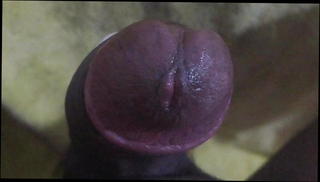 Video 805888001: pee gay, pee fuck, man peeing