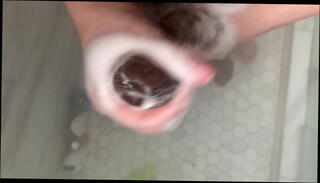 Video 1623512855: virgin teen stepdaughter, stepdaughter's virgin pussy, virgin stepdaughter's ass, interracial bbc teen, stepdaughter stepdad family, stepdaughter loves stepdads, interracial bbc big, tight virgin teen ass, cock worship cum, 18yo teen stepdaughter, stepdaughter big dick small, tight virgin pink pussy, asian teen stepdaughter, taboo teen stepdaughter, stepdads huge dick, virgin japanese teen, worship big black cock, perfect virgin ass, woman loves bbc, takes stepdads, worship first time, soapy bbc, cock cumming multiple times