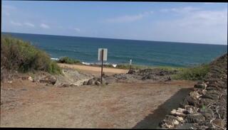 Video 35716704: sativa verte, pov hd amateur