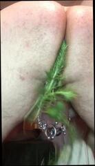 Video 262116401: pierced slave dick, mistress ass, gay piercing, gay man ass, ass stuff, dick stuffed