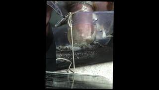 Video 1583047193: fetish solo masturbation, cock solo masturbation, solo masturbation fucking, solo amateur masturbation, machine cock, hard cock solo, solo male cock, cock home