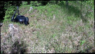 Video 1570779801: bdsm dildo gagging, latex bdsm bondage, penis gag bondage, bondage amateur bdsm, hogtied gagged, black latex catsuit, self bondage hogtie, bondage straight, hot hogtied, gagging hd, one dildo, finnish amateur