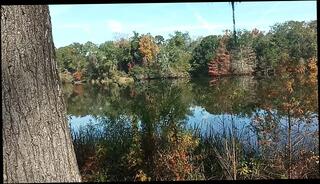 Video 1657218573: solo interracial, big dick ebony solo, big dick solo male, solo amateur latin, amateur mature interracial, solo muscular male, ebony public solo, park solo, interracial men