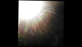 Video 502831601: bondage ball, outdoor bondage, gay man outdoor, ball park