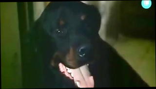 Video 1505816101: gloria guida, vintage nudist, vintage big tit blonde, nudist straight, nudist shower, funny vintage, vintage italian, vintage european, nudity big