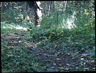 Video 1585265821: pissing urinal gay, fetish gay piss, amateur piss fetish, men pissing urinal, piss gay daddies, piss gay cock, pissing hunk gay, pissing men outdoors gay, gay men pissing public, gay guys pissing, muscle gay fetish, man pissing, military fetish, pissing hd, cock shake, finnish gay, takes dudes, cock time