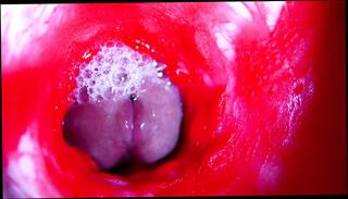 Video 1657441581: gay twink bdsm, fetish bdsm anal, fetish hardcore bdsm, bdsm fetish cock, bdsm fetish sex, fetish bdsm fucking, fetish teen bdsm, fetish bdsm hot, twink boy gay sexy, daddy fucks twink gay, twinks gays boys masturbations, dick twink anal sex, cock sex toys fetish, twink boy pussy, twink big dick boy, gay twink moans, gay man fucking twink, twink russian boy, twink sex hd, twink close, pussy head