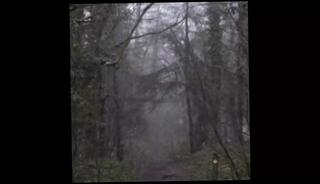 Video 1610001591: teen homemade creampie, creampie gay porn, teen creampied hardcore, bangladeshi porn, fucking