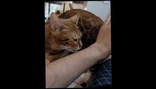 Video 1580472823: anime uncensored hentai, lesbian hentai anime, lesbian bdsm bondage, pov lesbian pussy licking, hentai uncensored girl, hentai uncensored sex, hentai anime anal, anime girl bukkake, bdsm bondage orgasm, bondage amateur bdsm, anime hentai cosplay, hard animated hentai, hentai solo, solo male pov, pov solo female, virtual sex pov