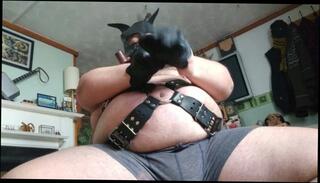Video 1143091803: solo gay amateur, gay bear solo, solo gay male, solo leather, solo belly, fat solo, amateur dogging