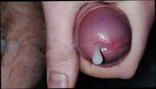 Video 1525916001: cock masturbation cum, gay cock cum, slow cum, super cum, danish cock, cum hd