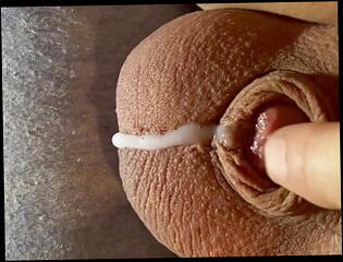 Video 1592000341: shemale solo pov, solo masturbation pov, fetish solo masturbation, tiny cock cum, solo ladyboy masturbating, amateur ladyboy pov, mature shemale solo, solo masturbation hd, cum party