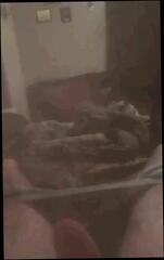 Video 304939101: girl webcam masturbation, american webcam girl, cam wank, webcam straight