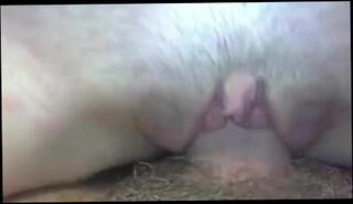 Video 283488401: straight pussy, spanish pussy, mature pussy