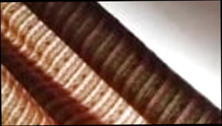 Video 1229263501: bbw milf wife, bbw milf blowjob, tits bbw milf, indian bbw mature aunty, desi bbw aunty, bbw bisexual, bbw asian milf, bisexual story blowjob, straight bisexual, aunty lover indian, indian aunty hindi