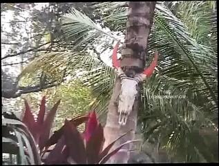 Video 1625168041: master dominate slave, bdsm master slave, bdsm slave girl, dominated slave sex, hardcore bdsm threesome, bdsm wax play, dominate two slaves, bdsm sub dominated, slave girl hard, indian girl threesome, cute slave girl, bdsm nipple play, girl loves threesome, dominates young girl, hardcore old young threesome, bdsm copulate, raw threesome sex, outdoor hardcore threesome, dominates straight, 18 year old slave, india threesome, dominates sweet, coitus