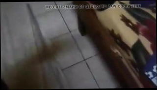 Video 888627501: homemade doggy, homemade straight