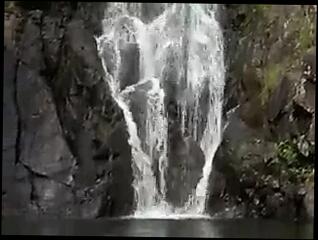 Video 39735101: carmen electra, bikini girl dancing, wearing bikini, porn straight, celebrity porn, camera girl