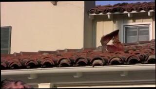 Video 160382601: gay hunk cock, gay hunks muscle man, big cock muscle hunk, muscular gay hunk, gay asian hunk, gay hot hunk, sexy guy