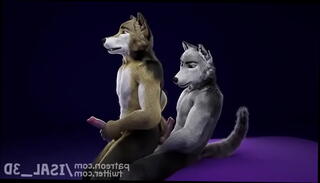 Video 1592590825: furry gay animation, 3d animated gay, furry love