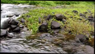 Video 297290901: nudist straight, nudist outdoor, nudist brunette, homemade straight, asian homemade, homemade hd