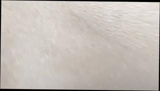 Video 1571875801: doggy style fuck machine, sex machine anal fucking, fucking machine deep throat, doggy style fucked titty, dick doggy style fucking, cock doggy style fucking, big dick fucking machine, fuck machine porn, fuck doggy style huge, indian anal doggy style, fucking machines hd, doggy fucking old, 18 year old doggy, biggest dick anal fucking, straight anal fucking, dick vr porn, fuck dog style