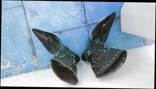 Video 1141976301: pissing peeing girls, amateur girl pee, wife amateur piss, gf peeing, pee straight, pee cumshot, pee boots, pissing hd