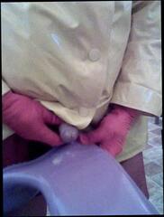 Video 213778601: little cum shot, man gay