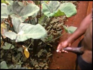 Video 1624726523: twink caught jerking, solo jock jerking, bbc solo jerk, bbc solo male cumshot, milf caught teen, black twink solo cumshot, big dick twink solo, bukkake fetish teen, twink solo big cock, milf amateur bbc, bbc closeup, busted caught, college jock jerks, twink jerking outdoor, twink dick public, amateur brazilian milf, caught outside, cosplay bbc