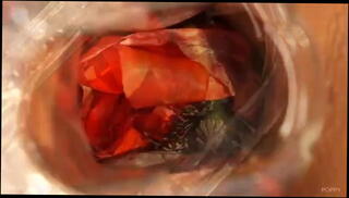 Watch the video about Queensnake.com - Poppy 1