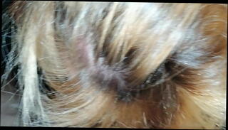 Video 1082166705: amateur blonde blowjob, russian boy