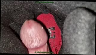 Video 1654815743: fetish solo, solo amateur jerking, toe fucking, solo male jerking, cum boots, cum inside