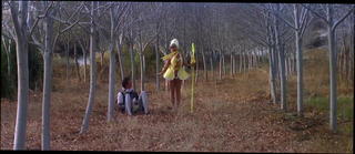 Video 903455001: straight woman, woman pussy, beautiful woman, takes sexual, one woman