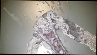 Video 779740501: skinny cum, skinny gay, skinny panties, skinny huge, huge cum load gay