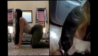 Video 1260009995: bbc pawg interracial, bbc interracial compilation, bbc pmv compilation, bbc humiliation, humiliating white boys